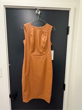 calvin klein burnt orange dress Calvin Klein Boho Cottagecore Prairie Ruffle Beachy Dress Sz 6 Burnt Orange NWT!